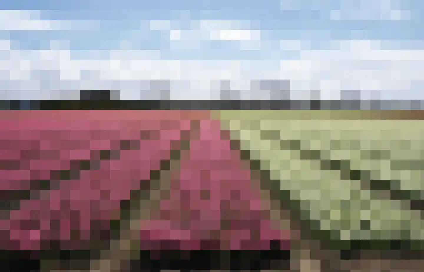 Van den Endelaan 133 Hillegom thumbnail 37