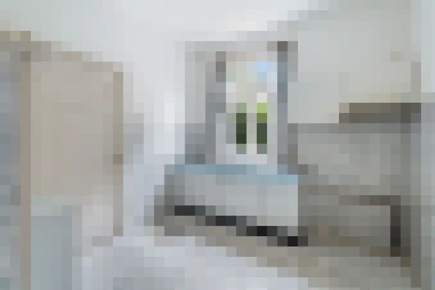 Van den Endelaan 18 Hillegom thumbnail 25
