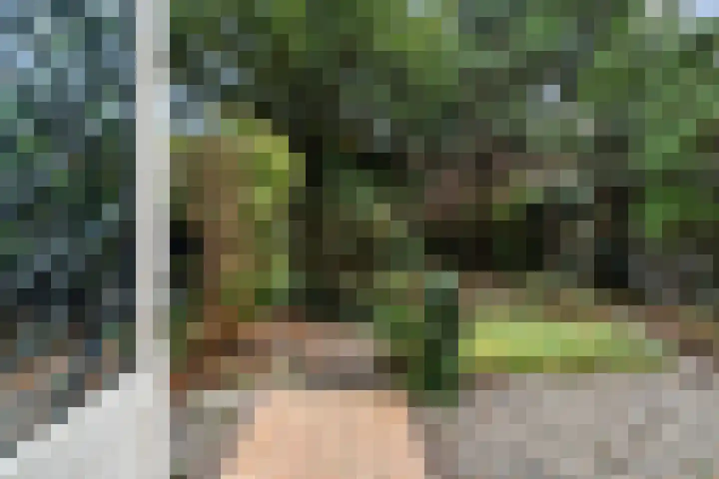 Van den Endelaan 18 Hillegom thumbnail 30