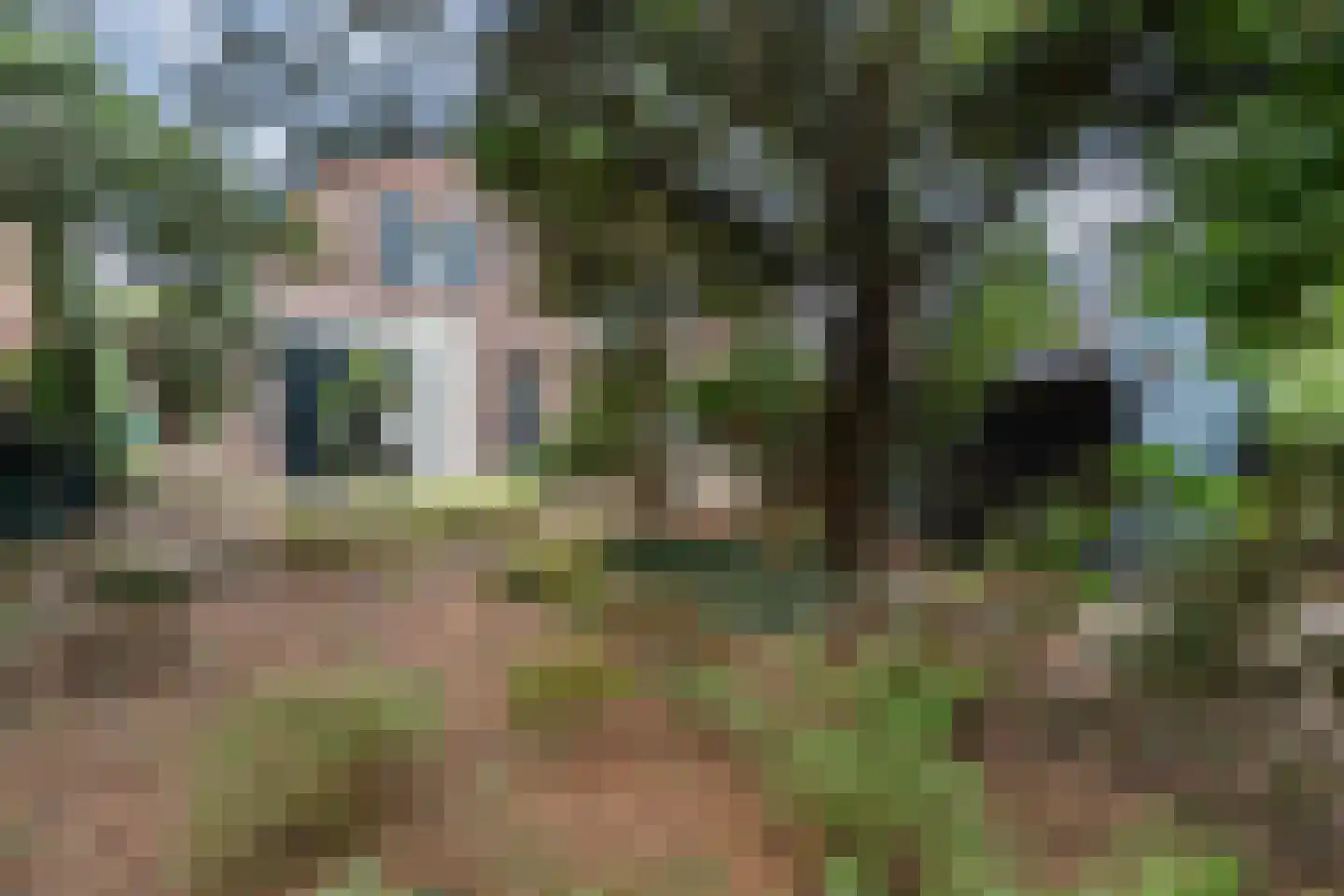 Van den Endelaan 18 Hillegom thumbnail 34