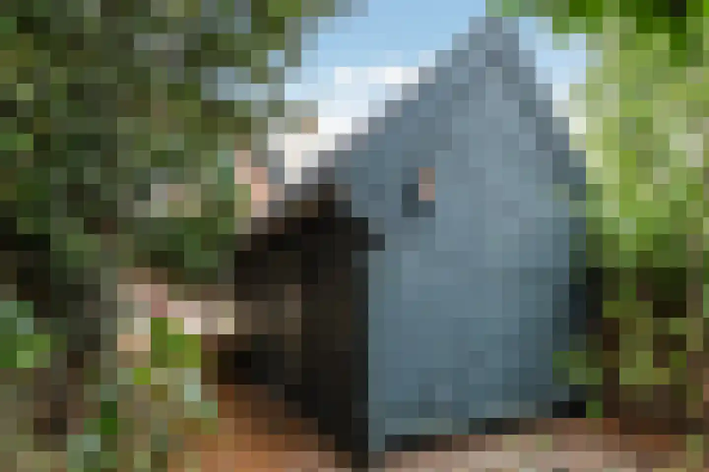 Van den Endelaan 18 Hillegom thumbnail 36