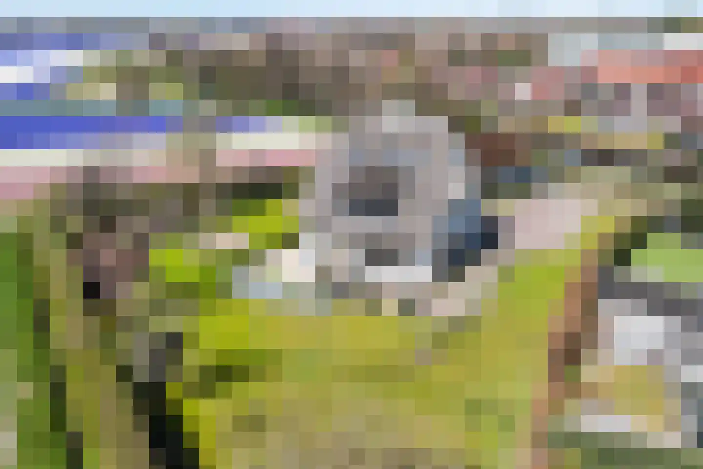 Van den Endelaan 41 Hillegom thumbnail 39