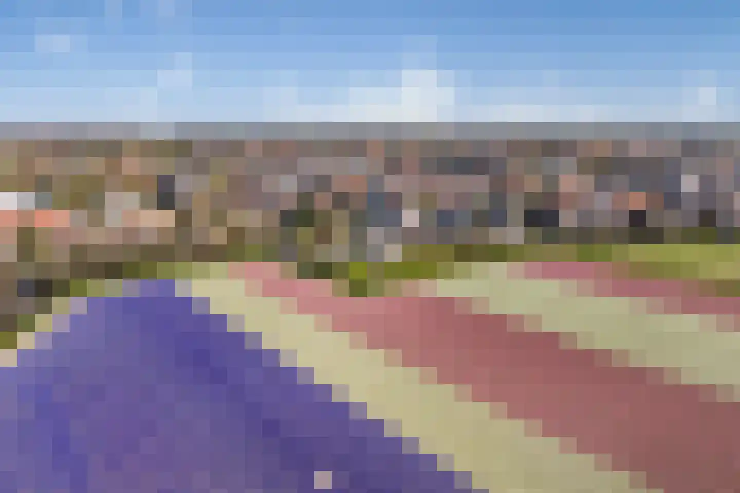 Van den Endelaan 41 Hillegom thumbnail 41