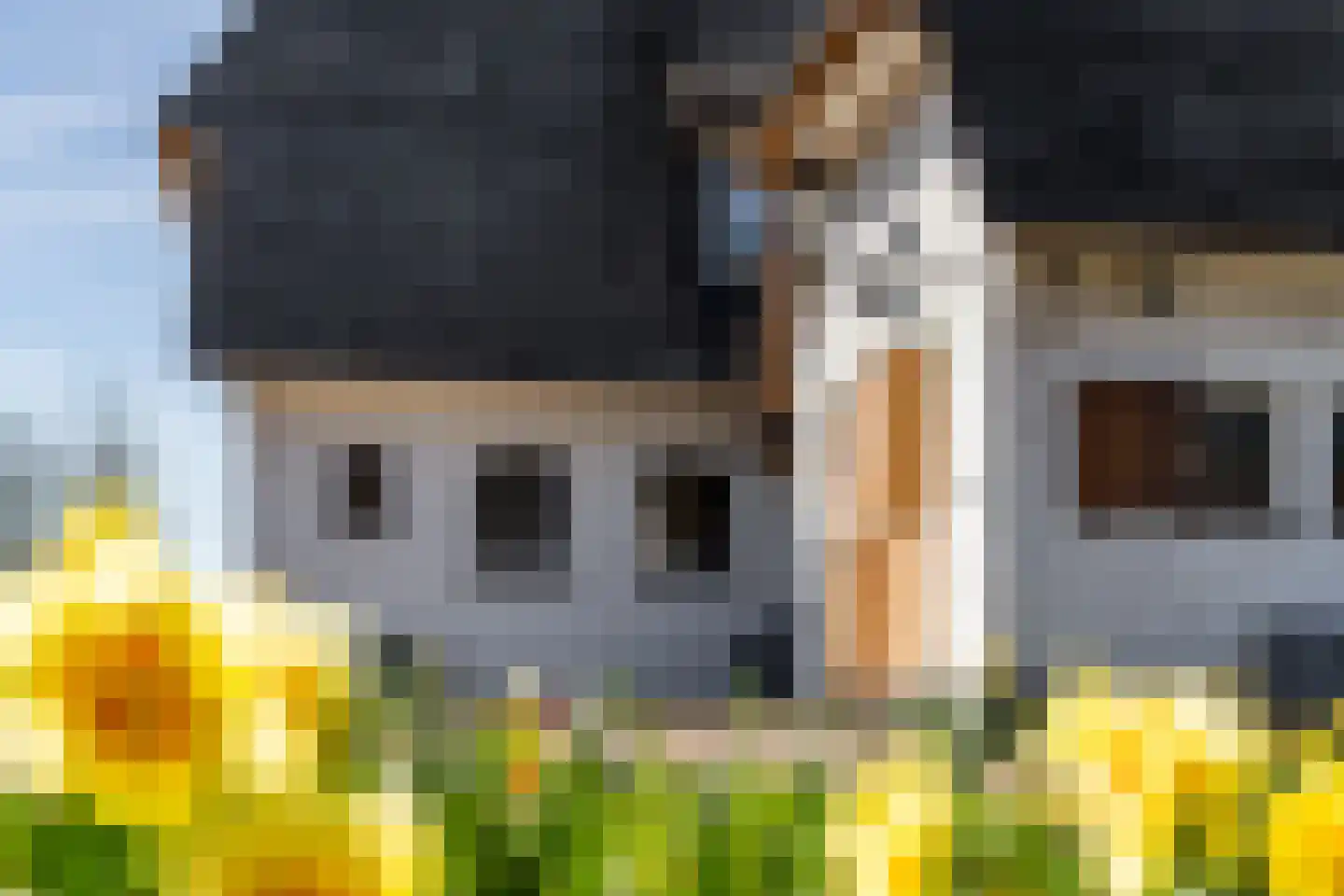 Van den Endelaan 41 Hillegom thumbnail 6