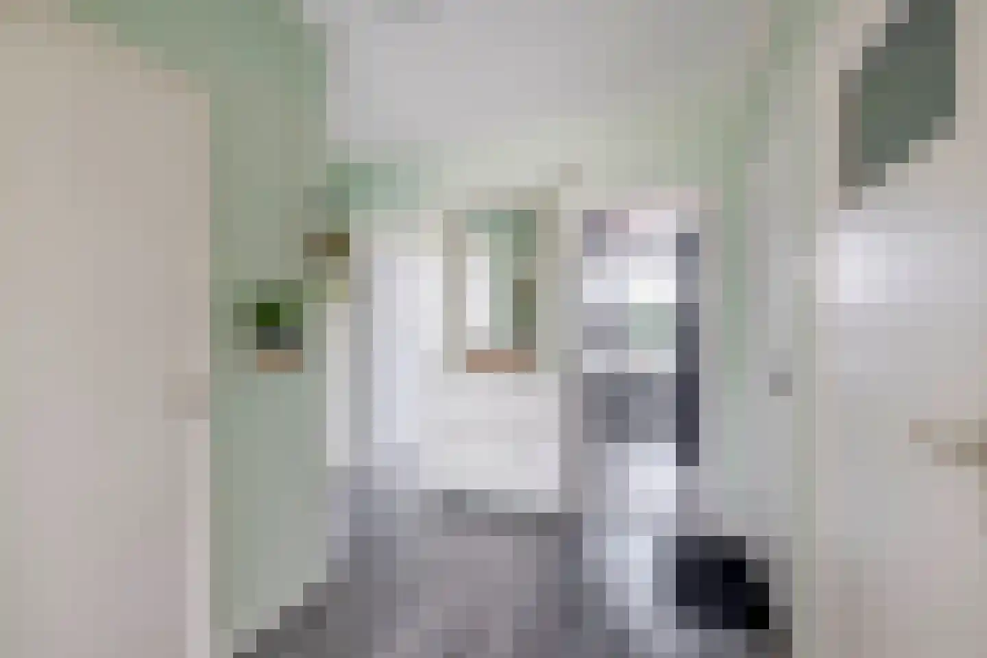 Van den Endelaan 85 Hillegom thumbnail 11