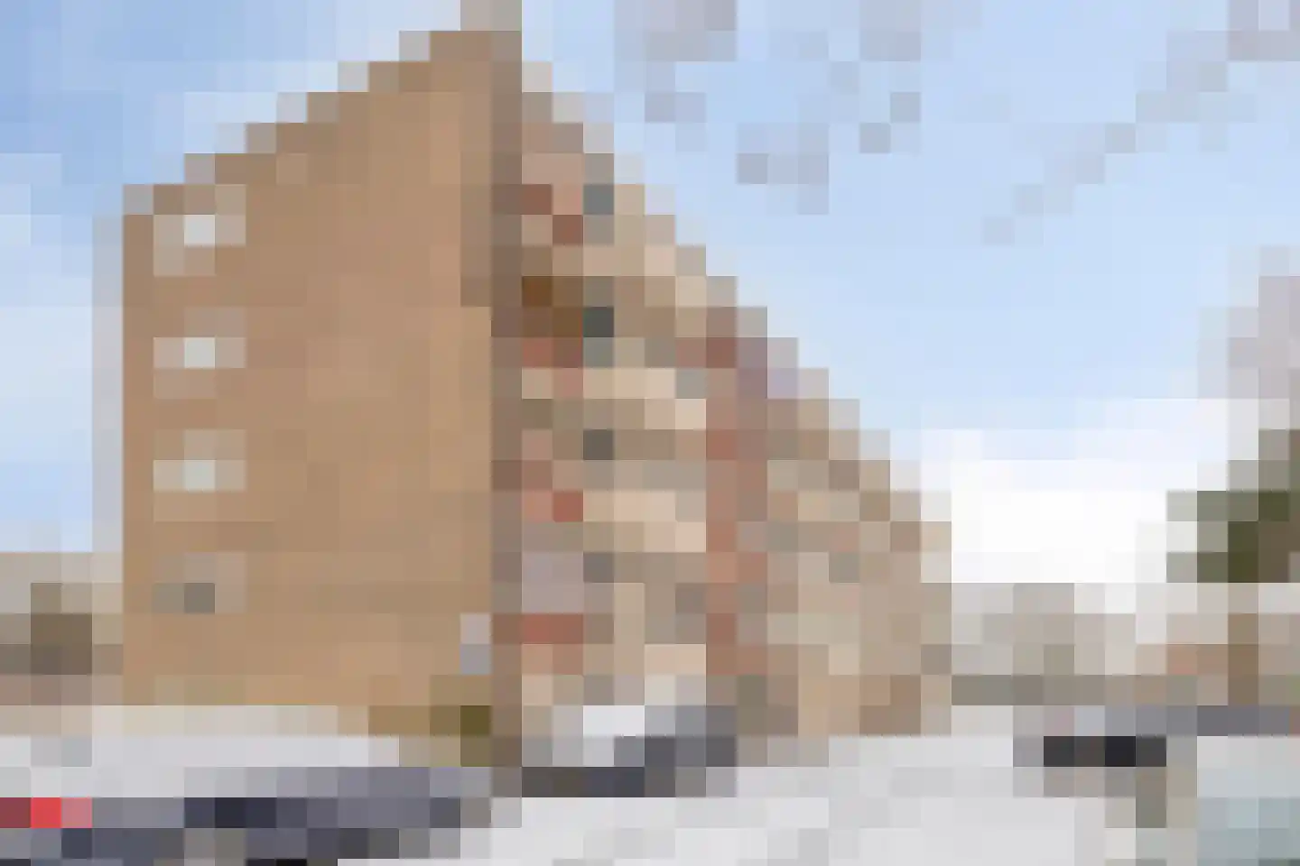 Van den Endelaan 89 Hillegom thumbnail 19