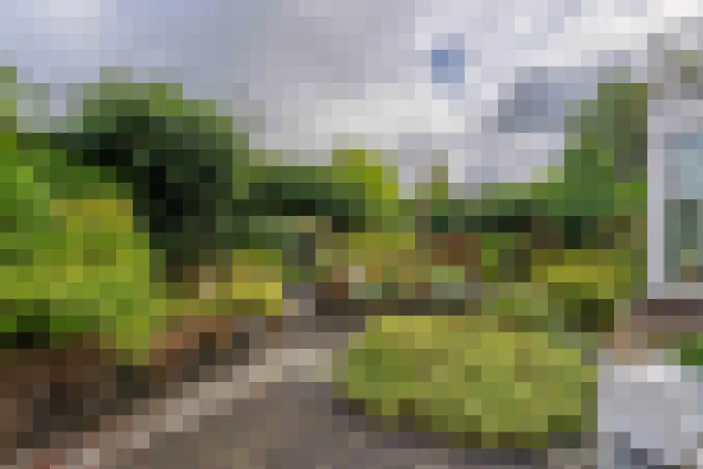 Van den Endeplein 2 Hillegom thumbnail 10