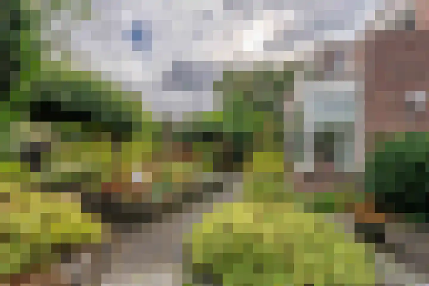 Van den Endeplein 2 Hillegom thumbnail 12
