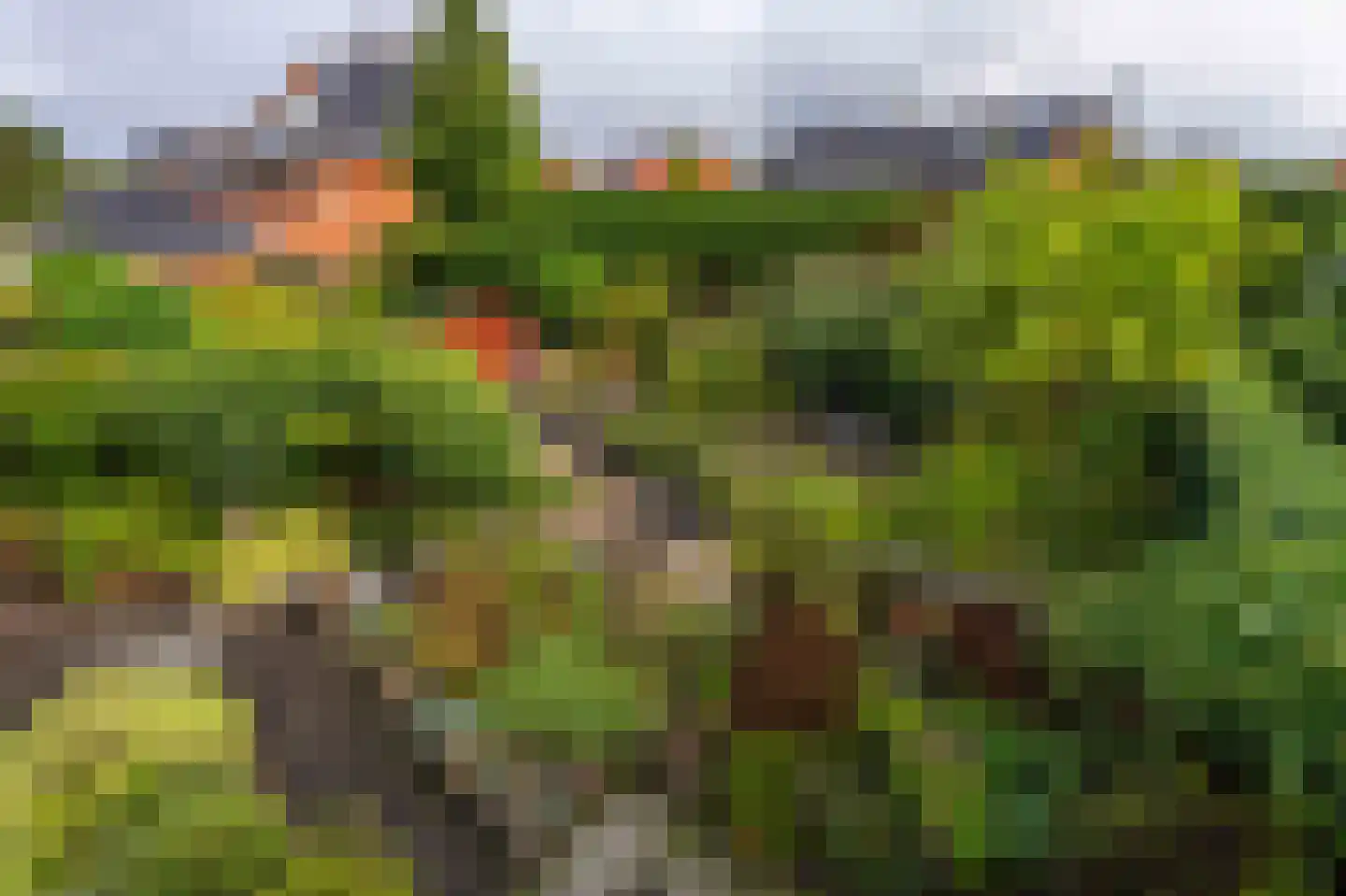 Van den Endeplein 2 Hillegom thumbnail 16