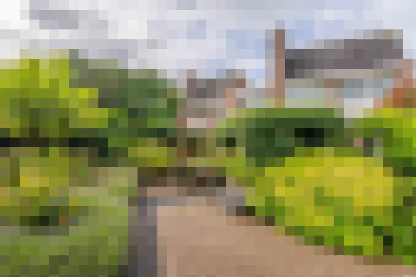 Van den Endeplein 2 Hillegom thumbnail 4