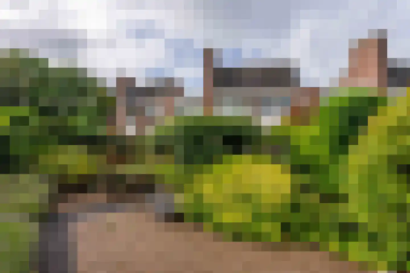 Van den Endeplein 2 Hillegom thumbnail 6