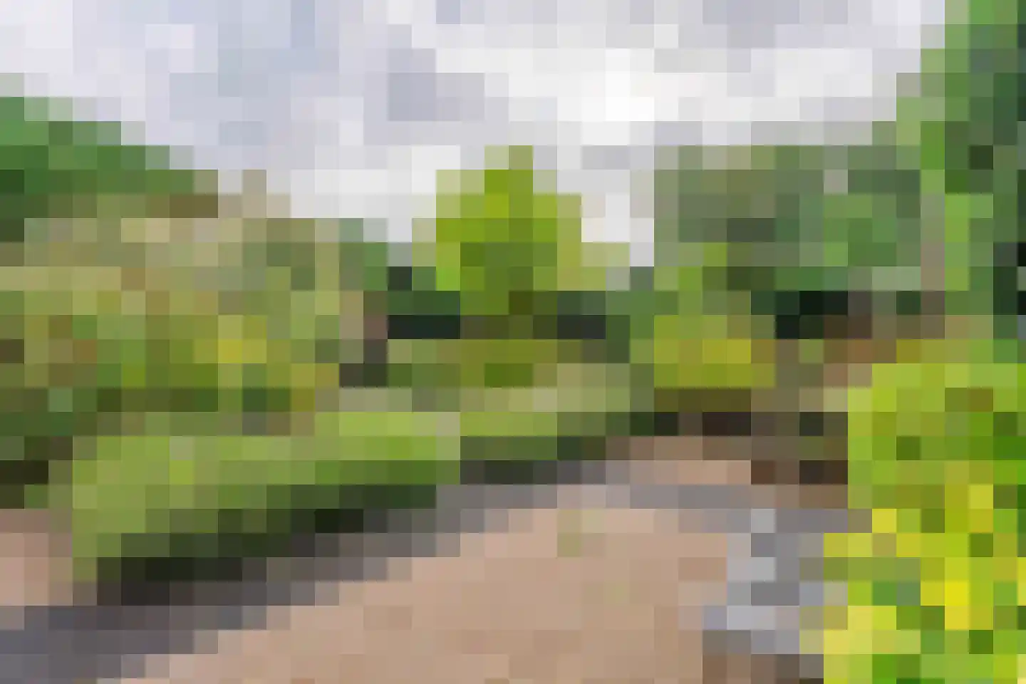 Van den Endeplein 2 Hillegom thumbnail 7