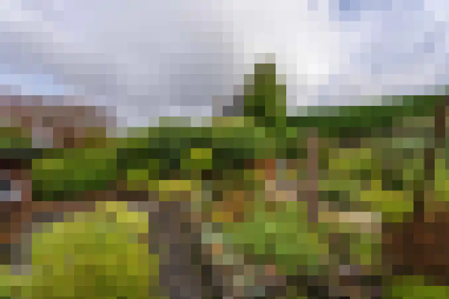 Van den Endeplein 2 Hillegom thumbnail 8