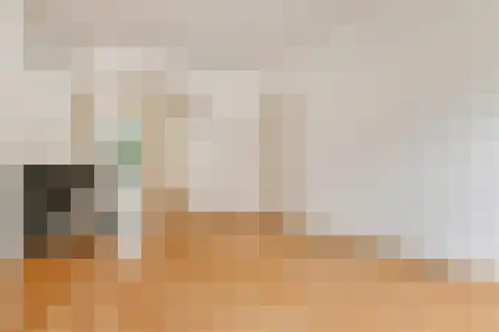 Van den Eyndestraat 22 Den Haag thumbnail 8