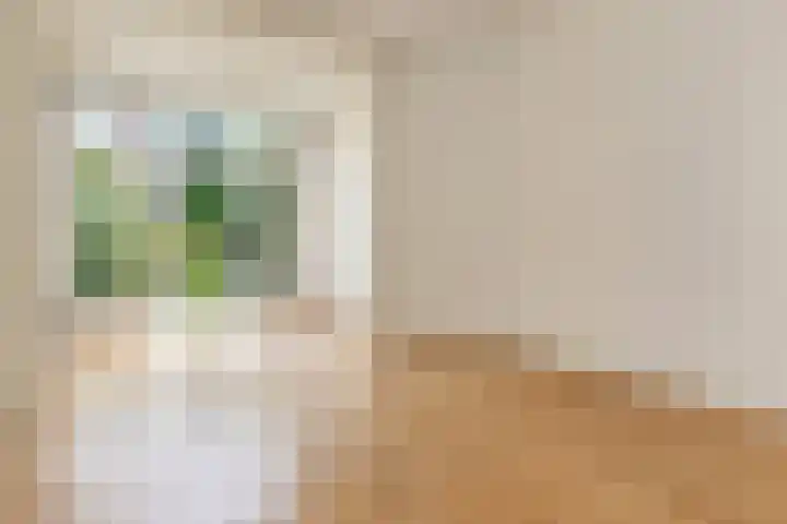 Van den Eyndestraat 22 Den Haag thumbnail 9
