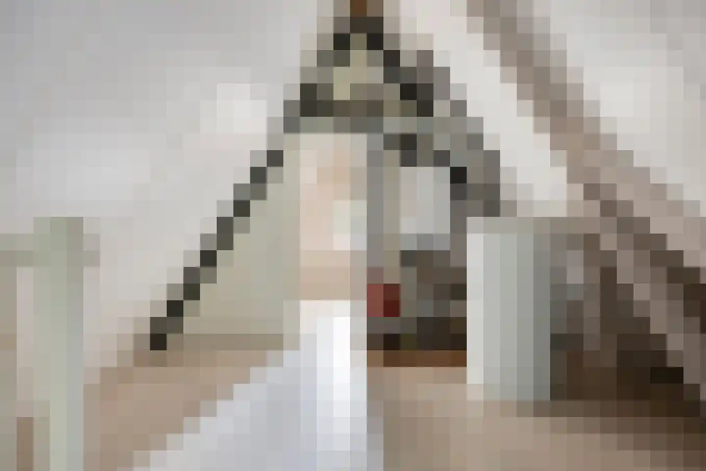 Van den Hamhof 11 Lunteren thumbnail 30
