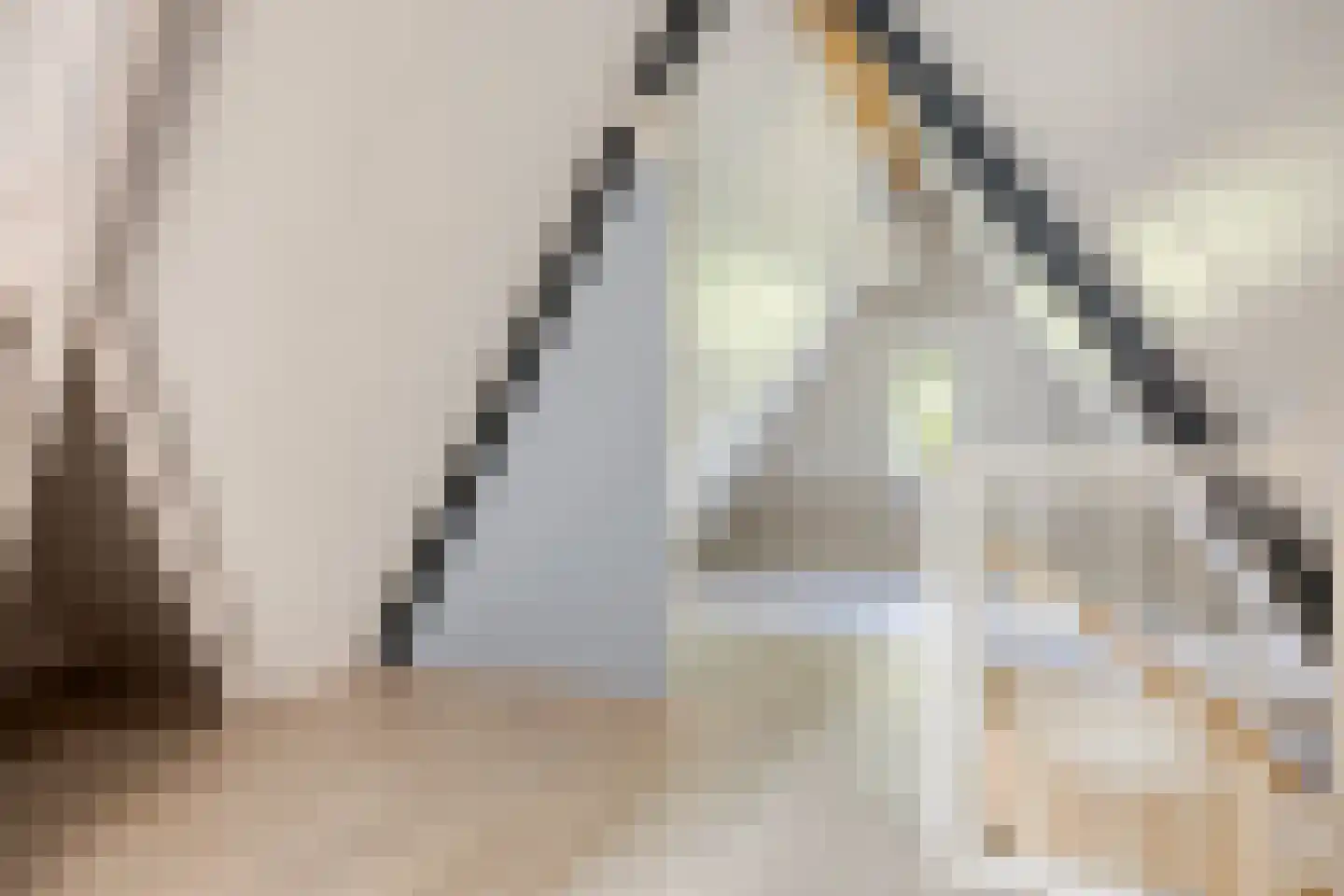 Van den Hamhof 11 Lunteren thumbnail 31