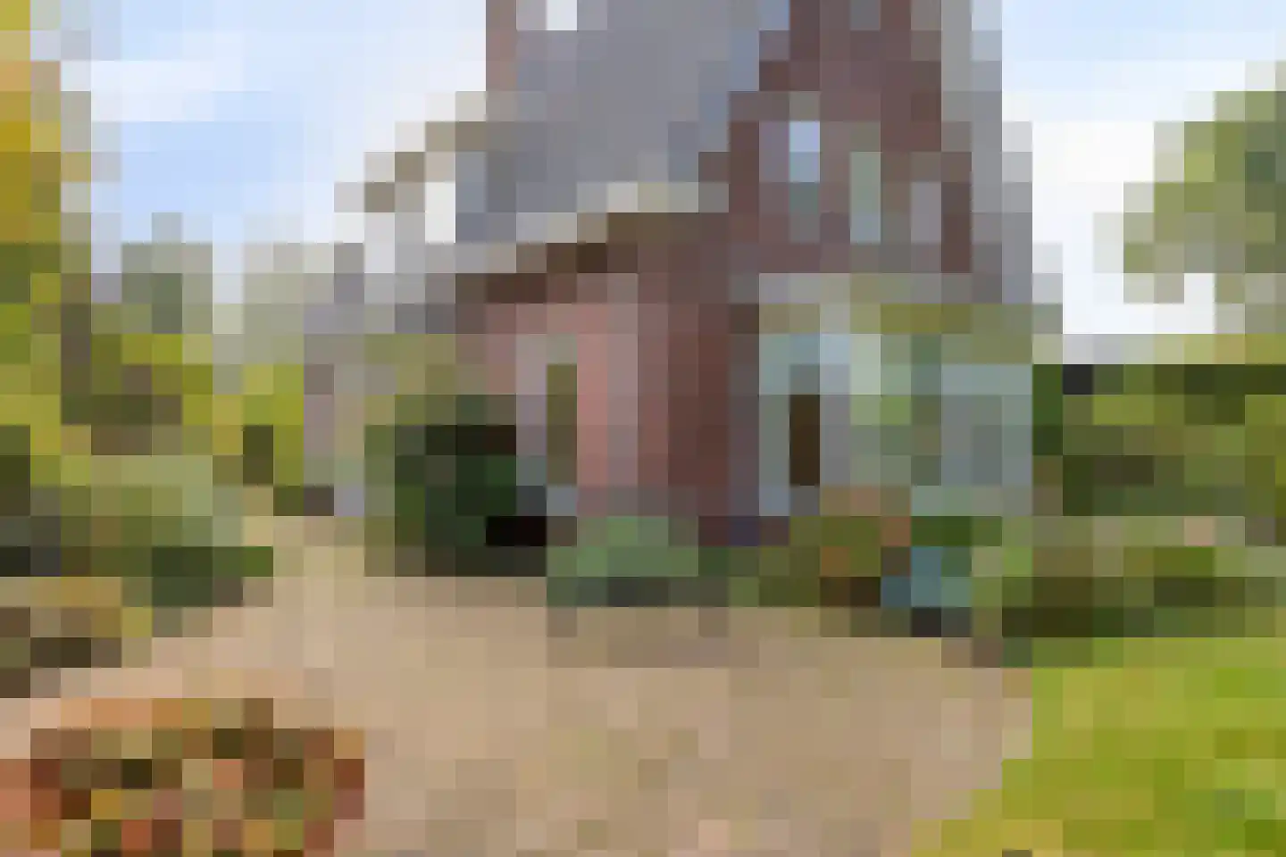 Van den Hamhof 11 Lunteren thumbnail 34