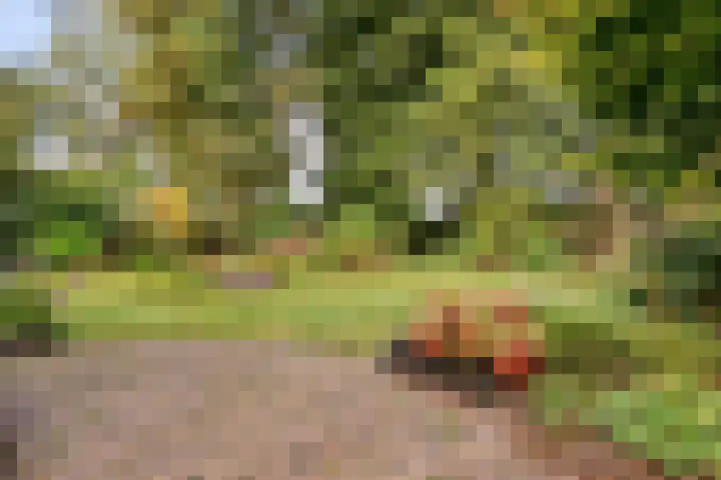 Van den Hamhof 11 Lunteren thumbnail 38