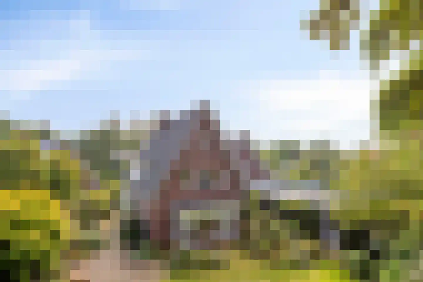 Van den Hamhof 11 Lunteren thumbnail 41
