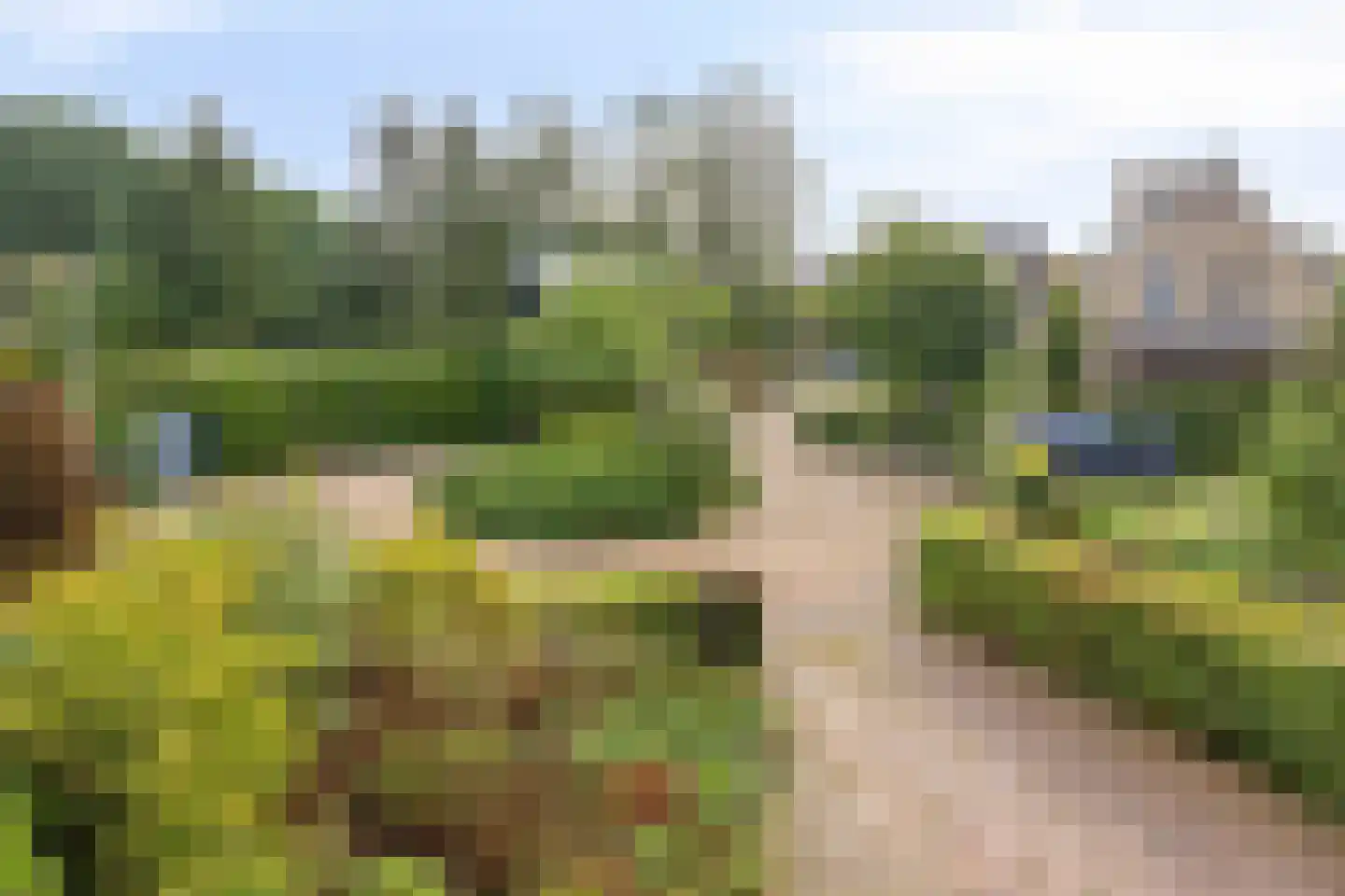 Van den Hamhof 11 Lunteren thumbnail 49