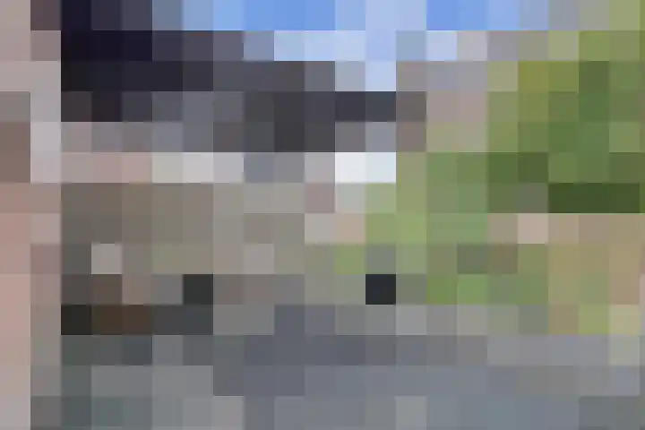 van den Havestraat 17 Nijmegen thumbnail 17