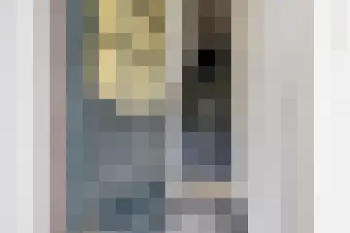 van den Havestraat 17 Nijmegen thumbnail 34