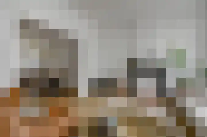 van den Havestraat 17 Nijmegen thumbnail 4