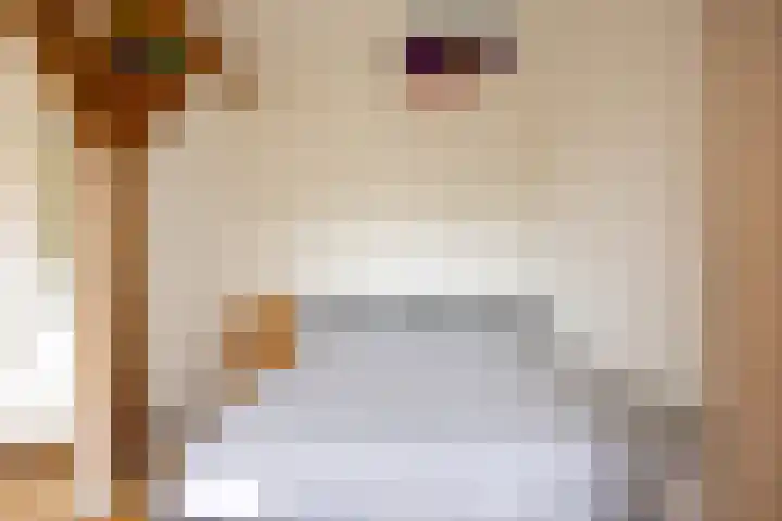 van den Havestraat 56 Nijmegen thumbnail 16