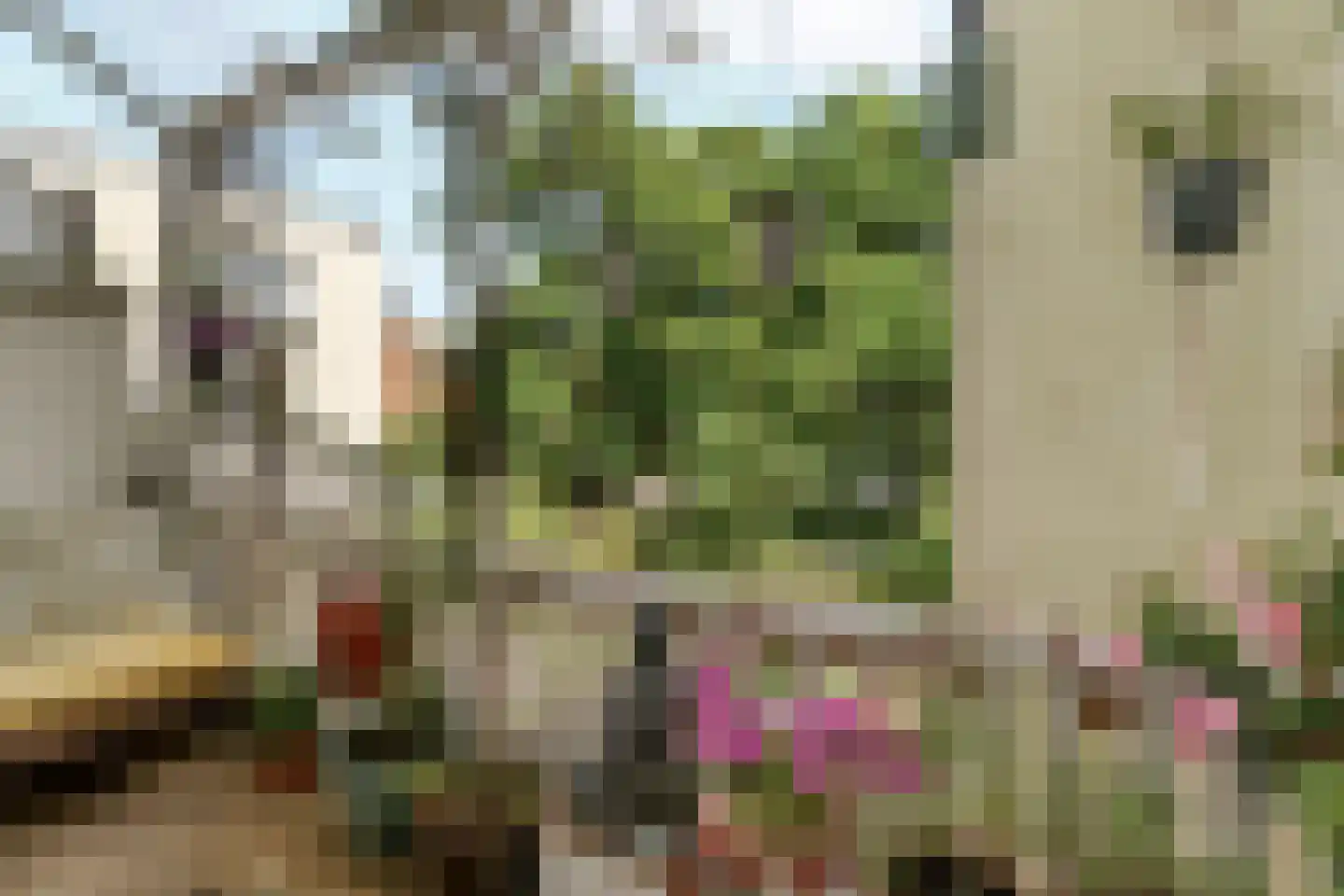 van den Havestraat 83 Nijmegen thumbnail 13