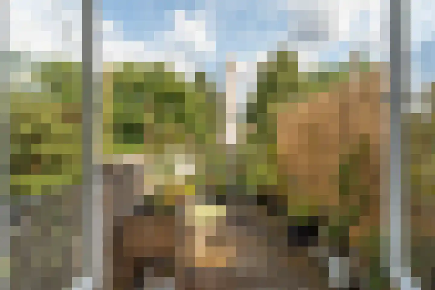 van den Havestraat 83 Nijmegen thumbnail 23
