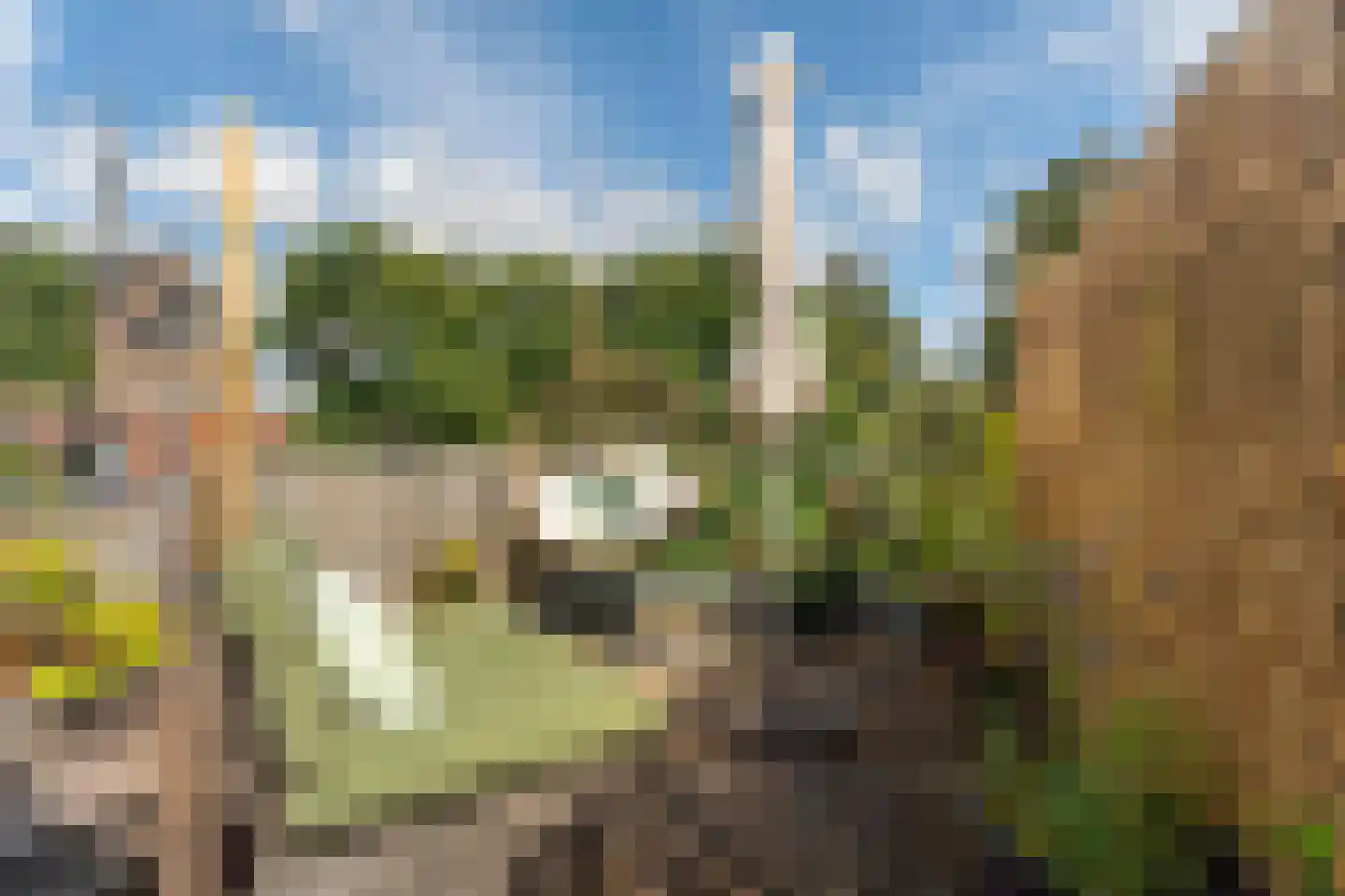 van den Havestraat 83 Nijmegen thumbnail 24