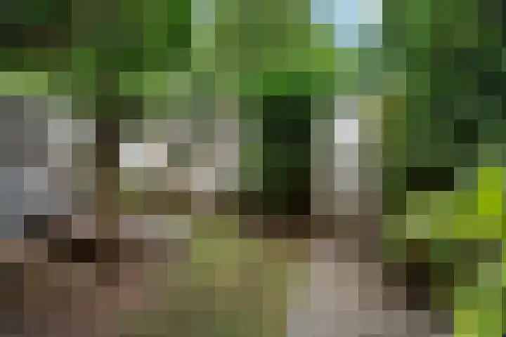 van den Havestraat 95 Nijmegen thumbnail 31