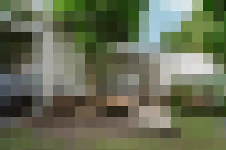 van den Havestraat 95 Nijmegen thumbnail 5