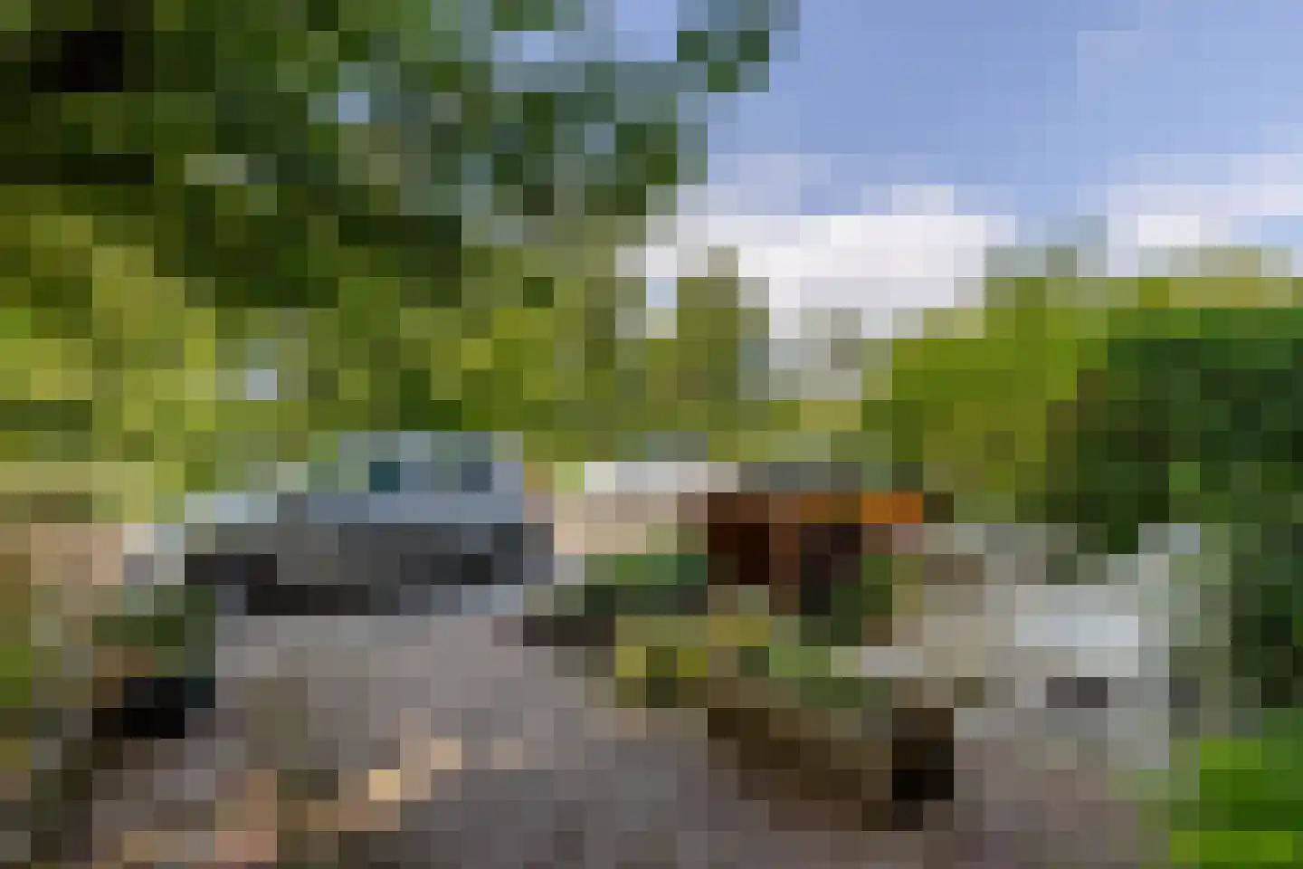 Van den Hoonaardsingel 28 A Rotterdam thumbnail 47