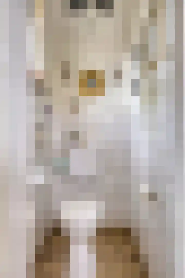 Van den Hoonaardstraat 1 Driel thumbnail 10