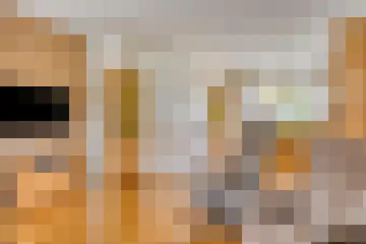 Van den Hoonaardstraat 1 Driel thumbnail 11