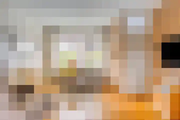 Van den Hoonaardstraat 1 Driel thumbnail 12