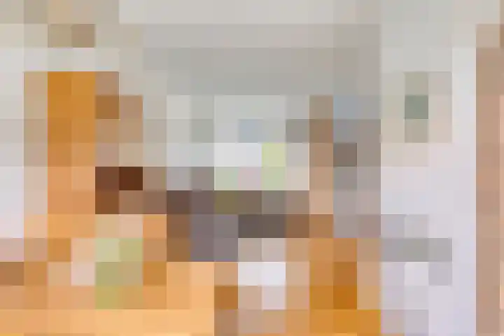 Van den Hoonaardstraat 1 Driel thumbnail 15