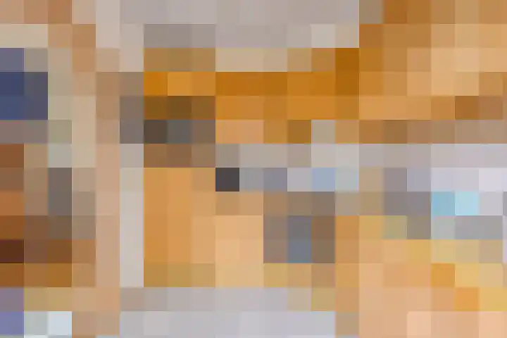 Van den Hoonaardstraat 1 Driel thumbnail 17