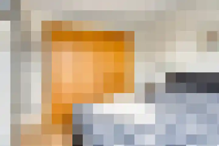Van den Hoonaardstraat 1 Driel thumbnail 21