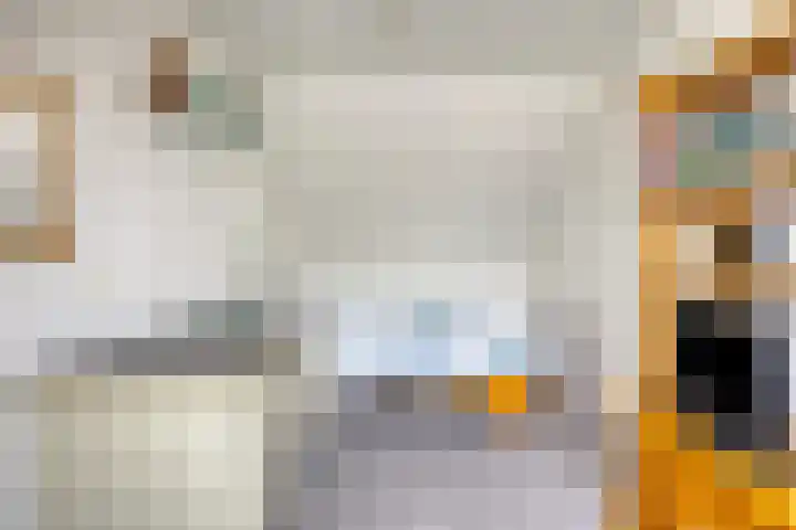 Van den Hoonaardstraat 1 Driel thumbnail 29