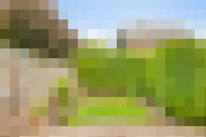 Van den Hoonaardstraat 1 Driel thumbnail 31
