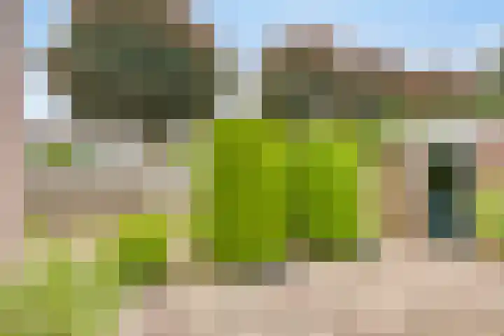 Van den Hoonaardstraat 1 Driel thumbnail 34