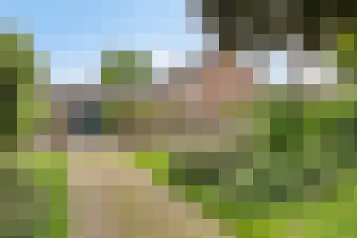 Van den Hoonaardstraat 1 Driel thumbnail 5