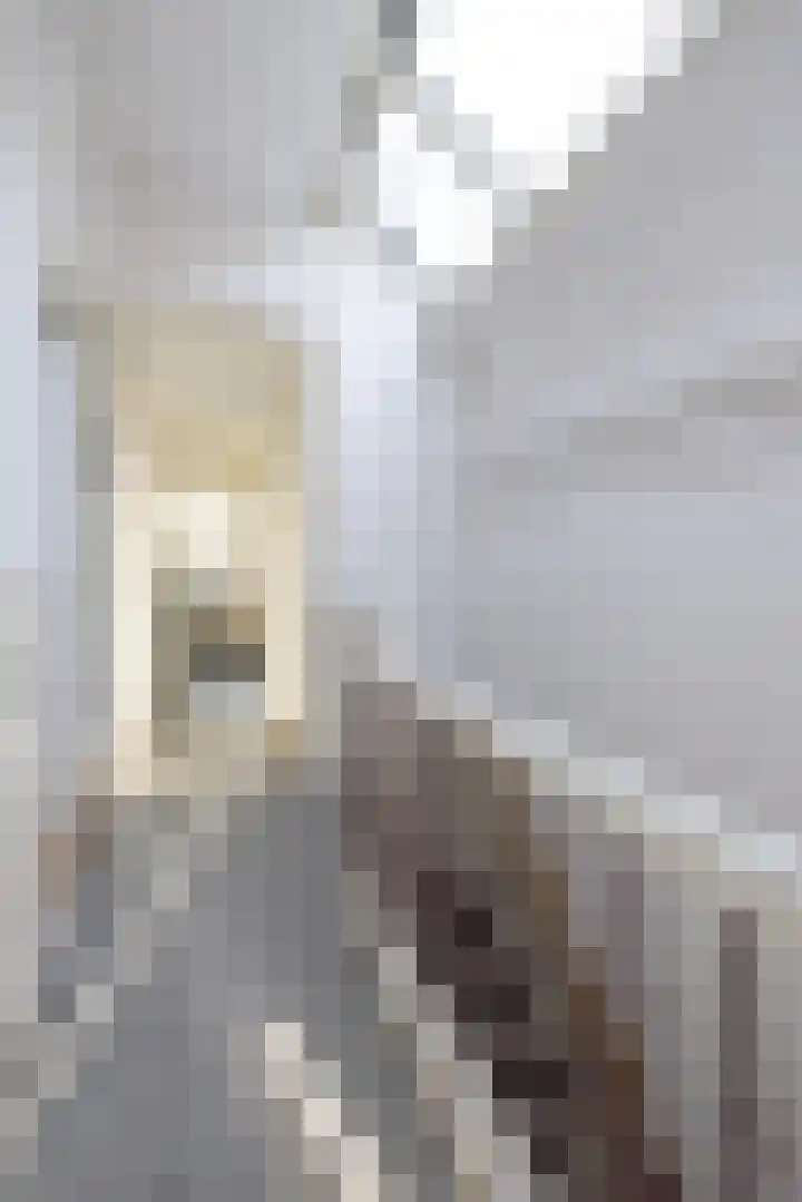 Van den Hoonaardstraat 17 Rotterdam thumbnail 24