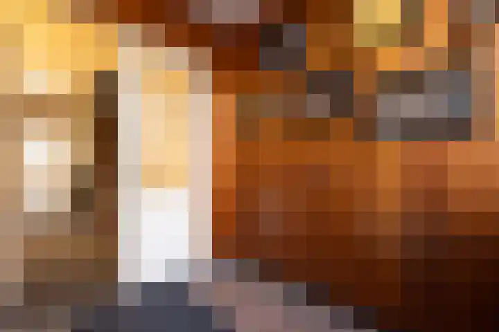Van den Hoonaardstraat 17 Rotterdam thumbnail 6