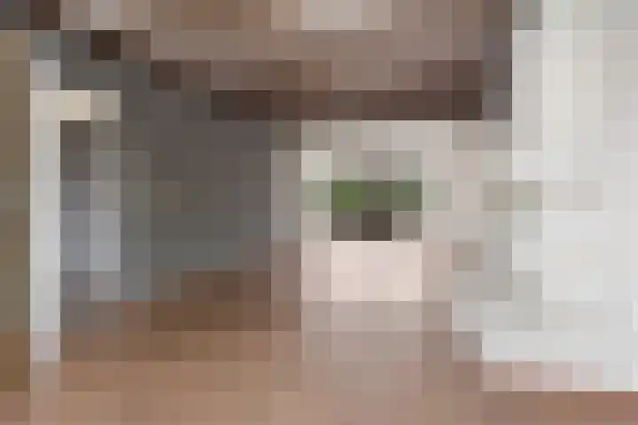van den Houtestraat 4 Rucphen thumbnail 13