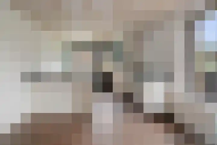 van den Houtestraat 4 Rucphen thumbnail 19