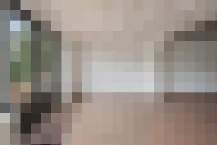 van den Houtestraat 4 Rucphen thumbnail 22